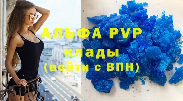 амф Верея