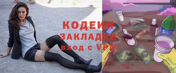 амф Верея
