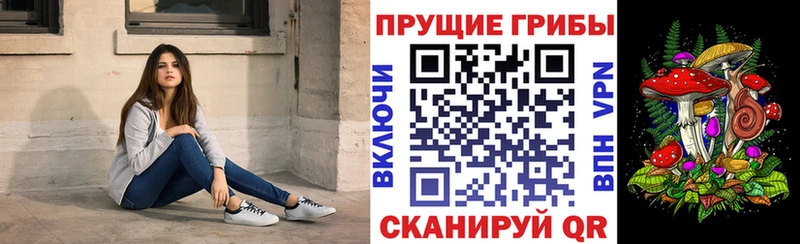 Галлюциногенные грибы прущие грибы  Каспийск 